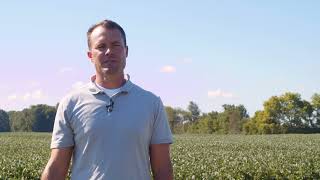The Benefits of Cover Crops