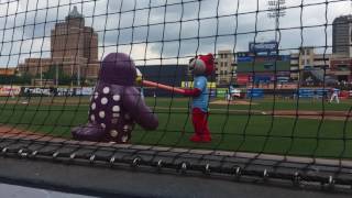 Akron RubberDucks Vehicle Race