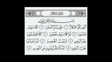 سورة التكاثر تلاوت قران كريم سعد ايوب #مشاري_العفاسي #تلاوة_خاشعة #تلاوات #سعد