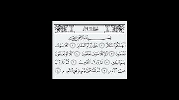 سورة التكاثر تلاوت قران كريم سعد ايوب #مشاري_العفاسي #تلاوة_خاشعة #تلاوات #سعد