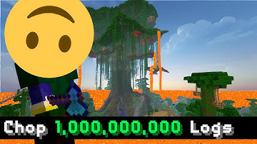 How I got Hypixel Skyblock