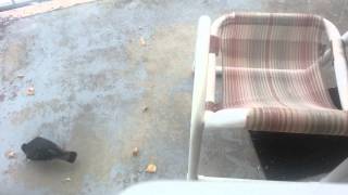20121130 150245