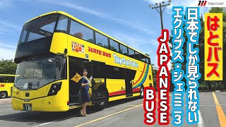 HATO BUS/Eclipse Gemini3,はとバス/エクリプス・ジェミニ3,日本でしか見られないあの黄色いバスをレビュー！