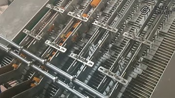 Sandwiching biscuit Automatic On Edge Packaging