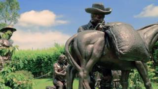 Parque Del Café Tradicional