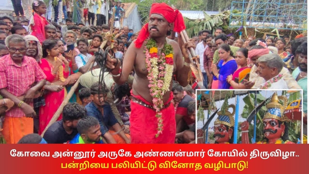 Sri Annamar kovil Festival | கோவை அண்ணன்மார் கோயில் திருவிழா.. பன்றியை பலியிட்டு வினோத வழிபாடு!