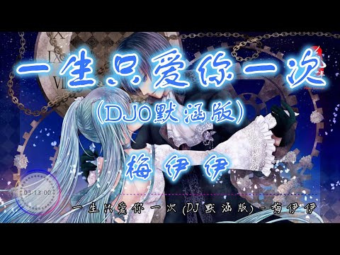 一生只爱你一次(DJ默涵版) - 梅伊伊【无损音质】【动态歌词】