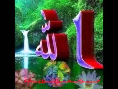 أواخر سورة الحشر اسماء الله الحسنى بصوت الشيخ عبدالله كامل من خدمة الواتس الإسلامي
