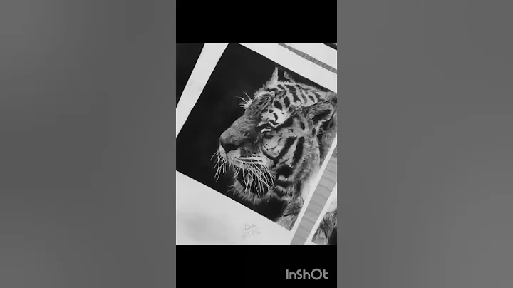 NEW DRAWING TRANSITION VIDEO! ART TRANSITION RESULT! #shorts