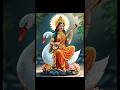 Creating Saraswati Devi in Digital Painting 🎨 | Watch Till End #art #digitalartwork #shorts #fyp