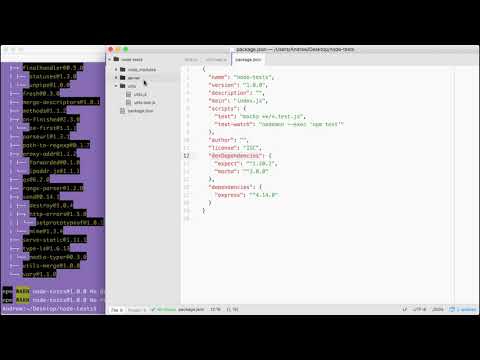 055 Testing Express Applications Part I