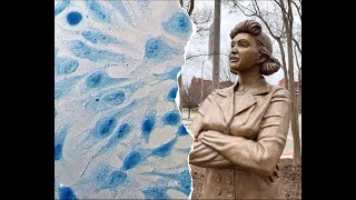 Henrietta Lacks: Miracle of Modern Medicine