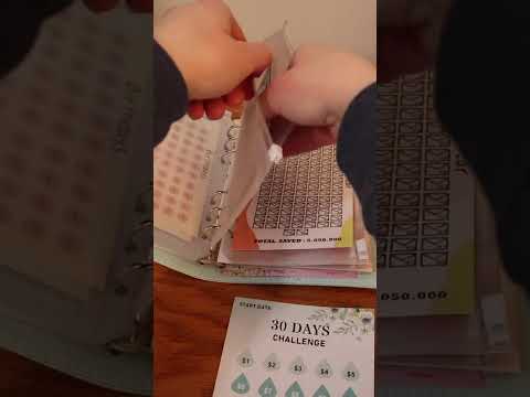 Savings Challenge Cash