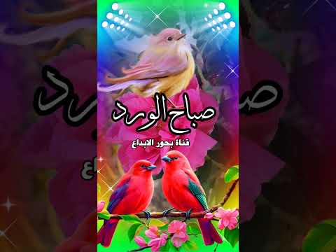 اللهم زدنا نورا في القلب وضياء في الوجه وسعة في الرزق ومحبة في قلوب العباد Shorts دعاء مستجاب 