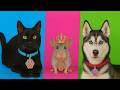 Cheap vs Luxury SECRET Pet Bedrooms! 🐶✨ Wild Makeover Battle