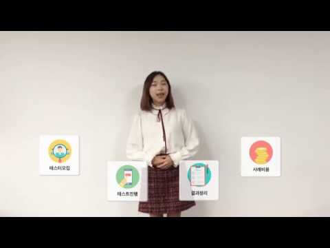 고객이 직접 테스트하는 UX/UI 검증 플랫폼, 더 테스터