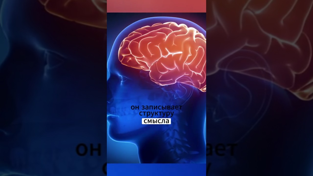 Эффект Манделы: когда память обманывает всех