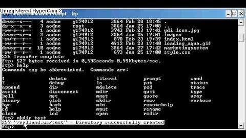 Connecting to FTP server (Website) with cmd