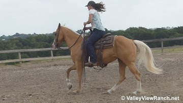 Cue Te Freckles - riding in outdoor arena #2 - ValleyViewRanch.net