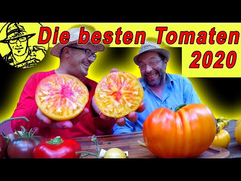 Video: Tomatensorten Und Hybriden, Anbautechniken