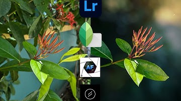 Mobile photo editing tutorial | Blur image background | Lightroom color grading PhotoRoom Edit ♥️😍