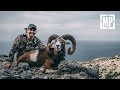 Hunting mouflon and hybrid kri kri ibex  dugi otok island in croatia  mark v peterson hunting