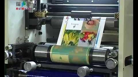 RY 320  4Colors Flexo Label Printing Machine
