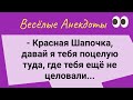 Супер Смешные Анекдоты для Отличного Настроения! Юмор! Смех! Позитив!