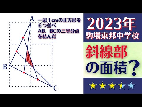 駒場東邦中学校 過去問 ３冊セット【28年分(1996年～2023年)】 駒場東邦中学校 過去問 3冊セット【28年分(1996年～2023年