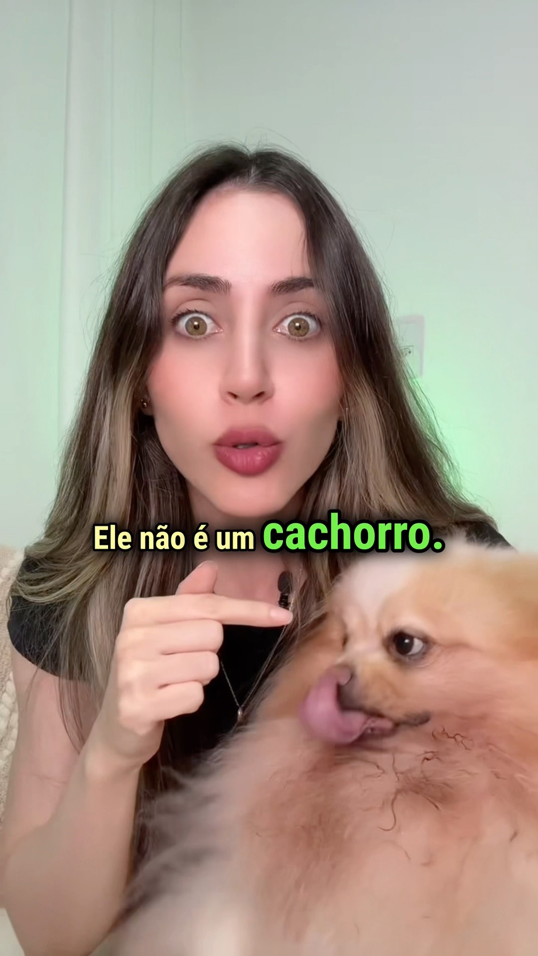 Cachorro é filhote: os filhotes dos animais em espanhol
