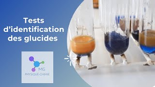 Caractériser Les Glucides Tests De Fehling Tollens Et Lugol