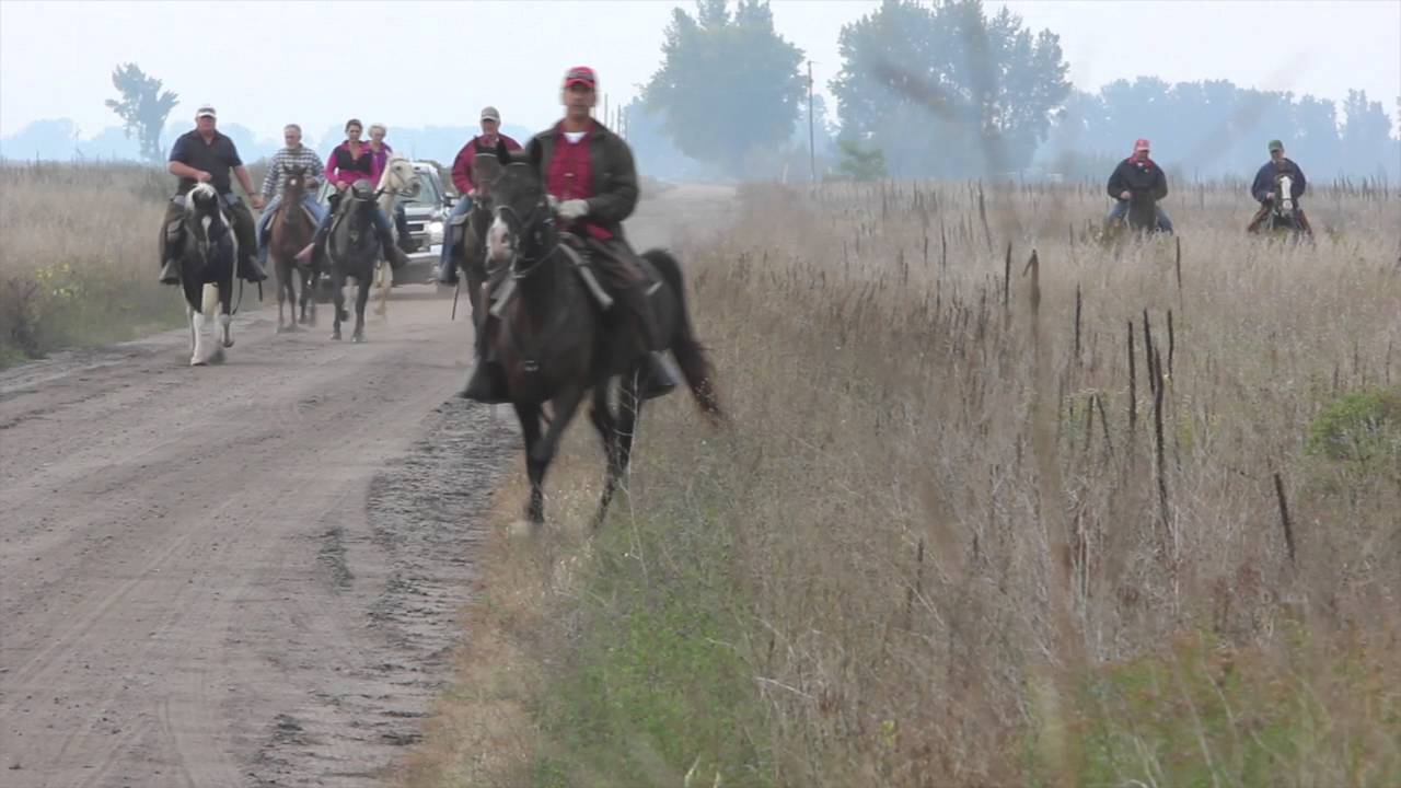 Pointing Dogs 2015 National Championship