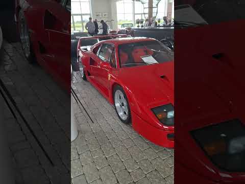 Ferrari F40 Shorts