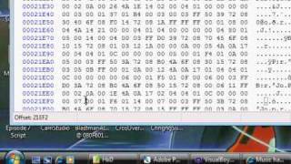 Basic Chip Hacking Guide (Mega Man Battle Network 6)