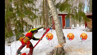 Mie niin taas arvasin, mutta ei tässä muutakaan voinut. Pro Finnish Lumberjack And Husqvarna 572xp
