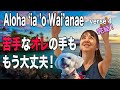 [Let’s Hula] Aloha ʻIa ʻO Waiʻanae verse 4/ Choreography by Mana 〜みんな苦手！オレの手もう悩まない！！