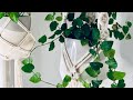 Macrame Plant Hanger | Diamond Pattern | Intermediate Tutorial