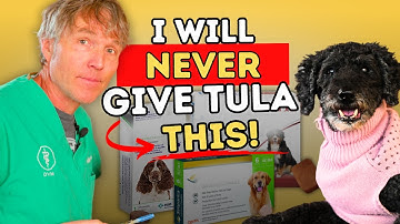 WARNING: 5 Flea & Tick Products with Alarming Side Effects (Better Natural Alternatives Included!)