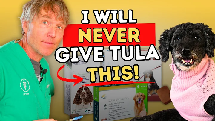 WARNING: 5 Flea & Tick Products with Alarming Side Effects (Better Natural Alternatives Included!)