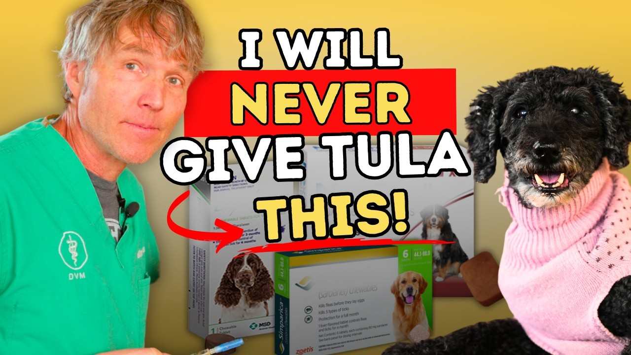 WARNING: 5 Flea & Tick Products with Alarming Side Effects (Better Natural Alternatives Included!) WARNING: 5 Flea & Tick Products with Alarming Side Effects (Better Natural Alternatives Included!)