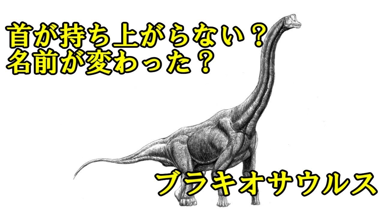 ブラキオサウルスの首は持ち上がらない？【ゆっくり解説】【ゆっくり恐竜解説傑作選】再投稿版