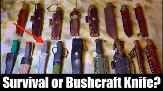 Survival and Bushcraft Knives IMHO!