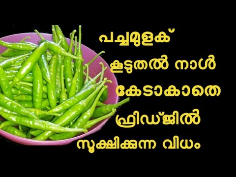 പച്ചമുളക് കൂടുതൽ നാൾ കേടാകാതെ ഫ്രിഡ്ജിൽ സൂക്ഷിക്കുന്ന വിധം How to store Green Chillies for months kitchen tips marathi mahiti