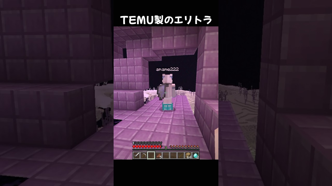 TEMU製のエリトラだった… #マイクラ #マインクラフト #minecraft #あまめちゃん