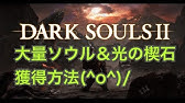 ダークソウル２ オジェイマラソン 光る楔石 女神の祝福 火の種マラソン 近接戦闘用 Youtube