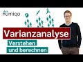 Varianzanalyse Quiz