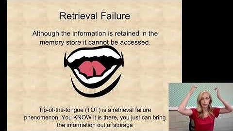 Forgetting Flipped Notes Part One for AP Psychology by Mandy Rice