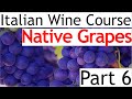 Italian Wine Course Part 6: Native Grapes