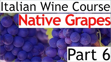 Italian Wine Course Part 6: Native Grapes
