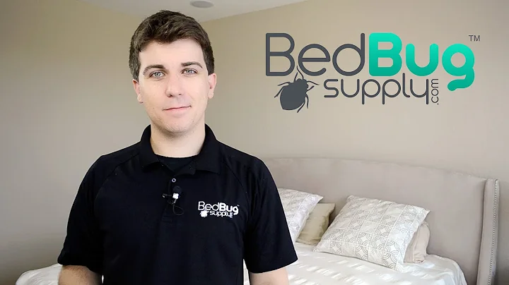 How to Get Rid of Bed Bugs in 4 Easy Steps - DayDayNews